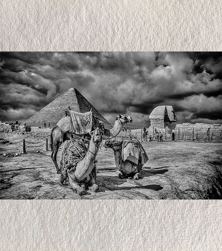 Premium Black & White Photographic Art – Echoes of Giza: Cairo, Egypt by Sayantan Sengupta (8"x12") | Indi Temptation