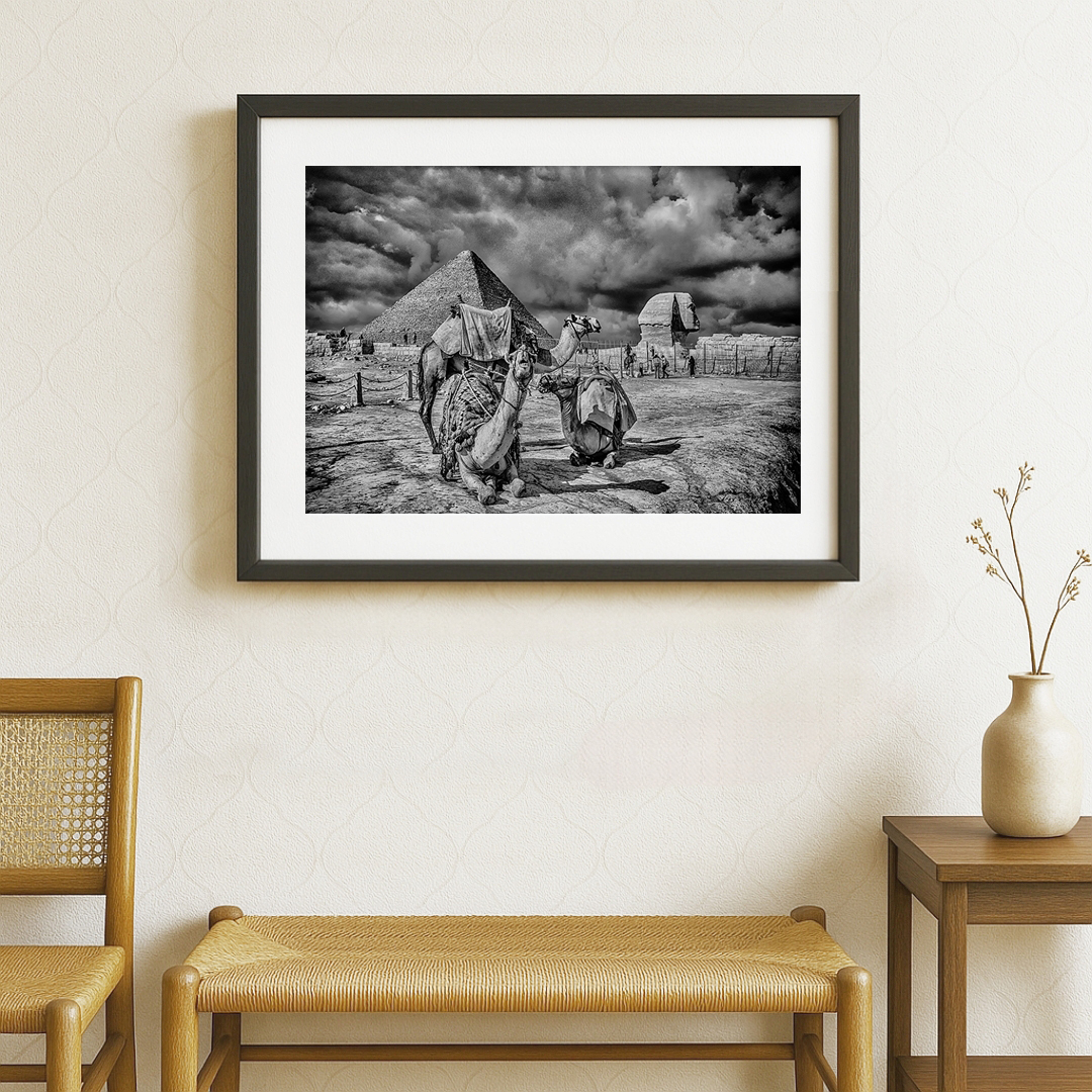 Premium Black & White Photographic Art – Echoes of Giza: Cairo, Egypt by Sayantan Sengupta (8"x12") | Indi Temptation