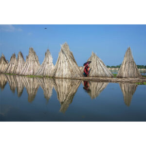 "Golden Threads of Bortir Bill" by Sayantan Sengupta