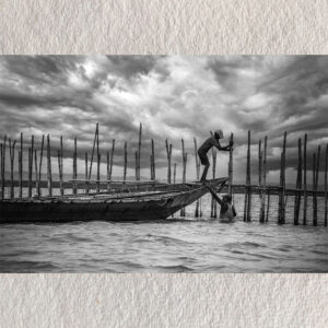 "Saving the Boat – Chilika Lake, Odisha"