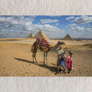 Desert Royalty – Pyramids of Giza, Cairo