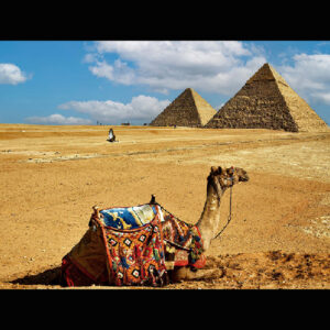 Giza Necropolis – Cairo Stillness