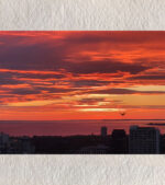 Wings of Dusk – Melbourne Bay Sunset