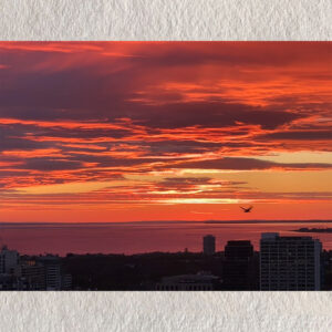 Wings of Dusk – Melbourne Bay Sunset