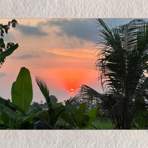 Palm-Kissed Sunset – BALLY’s Quiet Flame