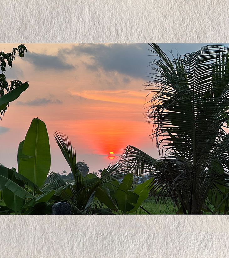 Palm-Kissed Sunset – BALLY’s Quiet Flame
