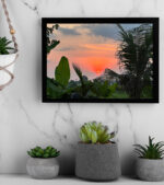 Palm-Kissed Sunset – BALLY’s Quiet Flame