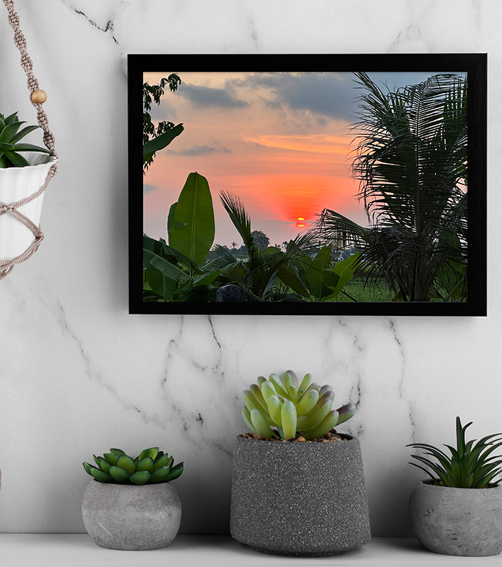Palm-Kissed Sunset – BALLY’s Quiet Flame