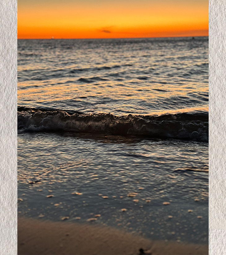 “Whispers of the Shore”