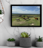 Pastoral Peace
