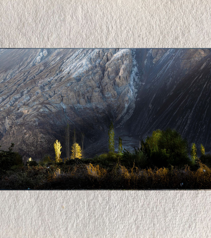 Whispers of Light – Hundar Morning Glow