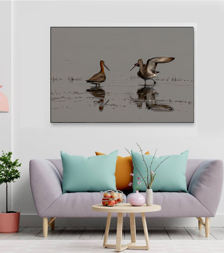 "Whispers in the Wetlands – Black-tailed Godwits, Chilika" by Debarshi Guha Roy
