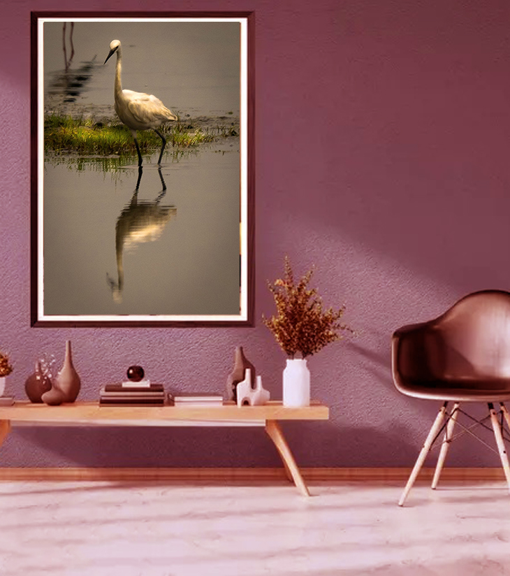 "Solitary Grace – Snowy Egret, Chilika" by Debarshi Guha Roy