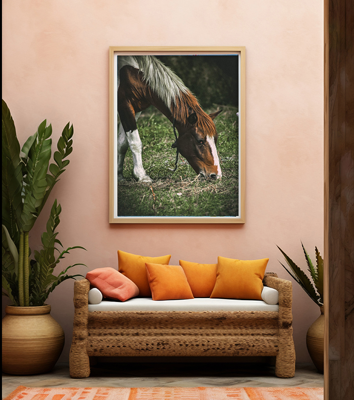 Grazing Grace
