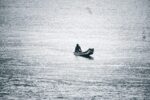 Solitude Afloat
