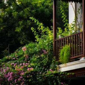 Veranda in Bloom