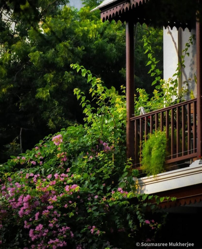 Veranda in Bloom