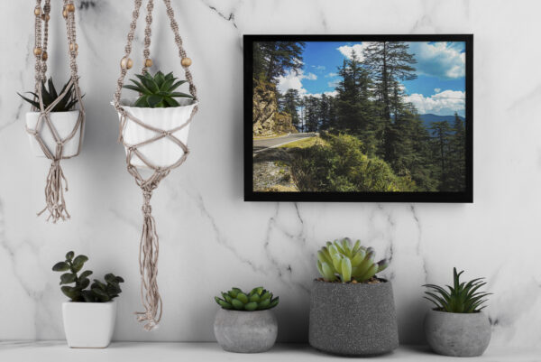 Whispers of the Pines
